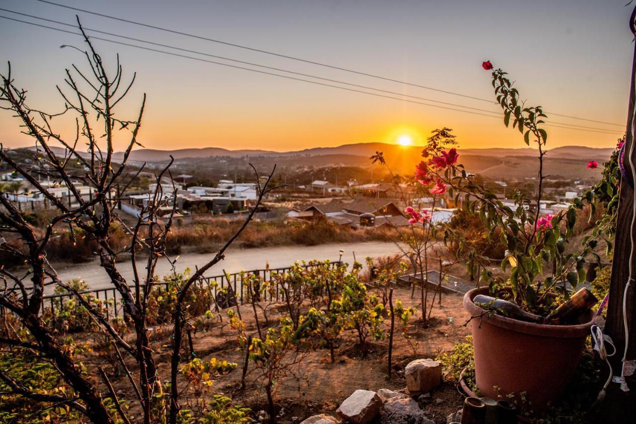 Posada San Antonio Valle de Guadalupe Bagian luar foto