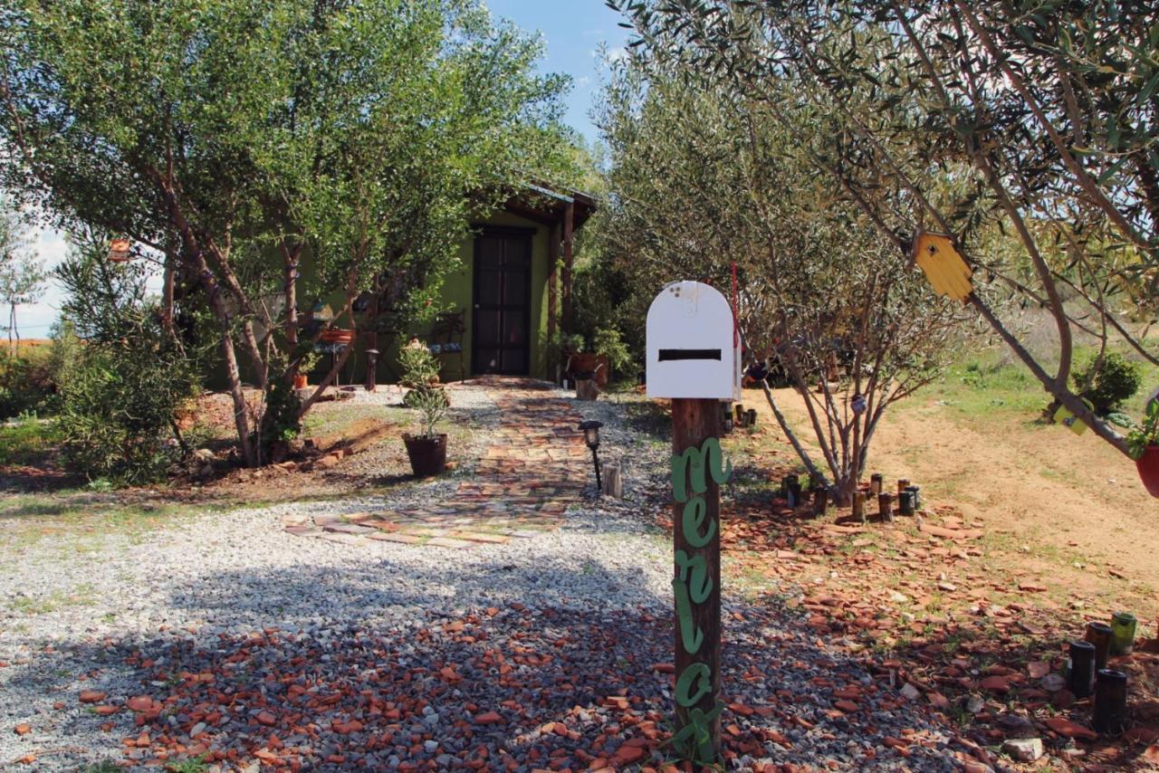 Posada San Antonio Valle de Guadalupe Bagian luar foto